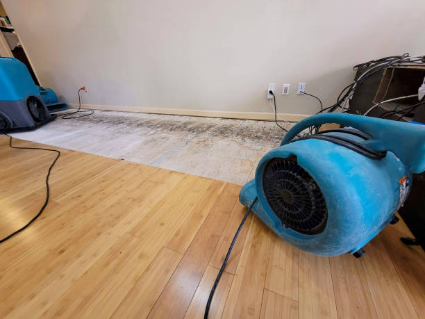 Professional Flood Damage Cleanup technician working in Marcus, WA